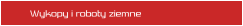 Wykopy i roboty ziemne